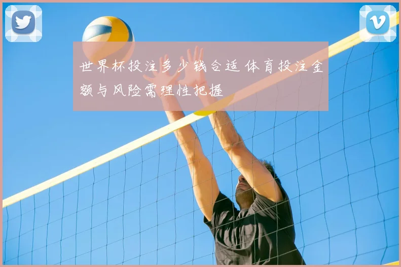 世界杯投注多少钱合适 体育投注金额与风险需理性把握