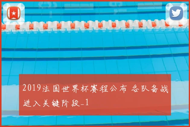 2019法国世界杯赛程公布 各队备战进入关键阶段_1